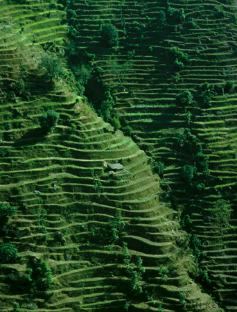 Terraces