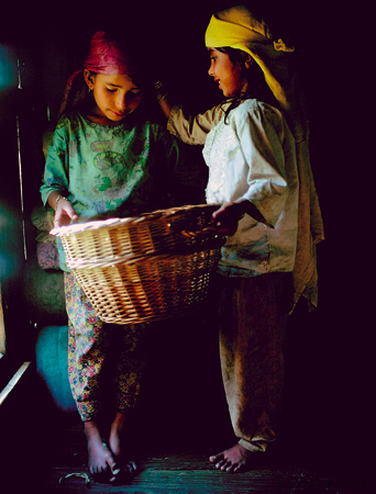 Houseboat fairies